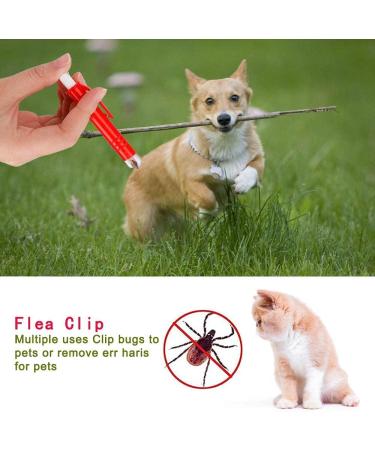 PKQtop Tick Remover Set for Dogs & Cats - 3 Pack Safe Tick Tweezers for Quick Removal | Ideal for Pets & People - Buy Online on SooperMarket.com