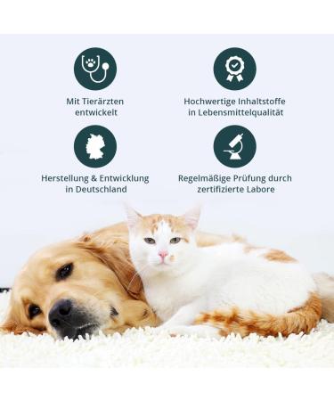 PURAPEP Comfort | Natural Sedative for Dogs & Cats | Tryptophan & B Vitamins | 100g Powder for Stress & Fear Relief - Buy Online on SooperMarket.com