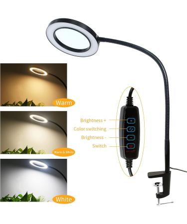 LED Magnifying Glass Desk Lamp 3 Modes and 10 Levels of Dimming 5X Magnifying Light Gooseneck Light with Clamp for Reading Handicrafts Precision Equipment Maintenance Workbench Closed Work - Buy Online on SooperMarket.com