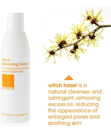 LATHER Citrus Balancing Toner - Alcohol-Free Clarifying Toner for All Skin Types - Balance Complexion - 6 Fl Oz - Shop Internationally - Buy Online on SooperMarket.com