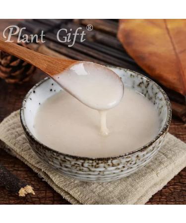 Plant Gift 100% Pure Oat Powder 100G/3.25oz Non-GMO Powder No Filler No additives Natural Oat Flour Great Flavor for Drinks Adds Flavor and Taste Baking Ingredients 2UK-PO0061 - Buy Online on SooperMarket.com