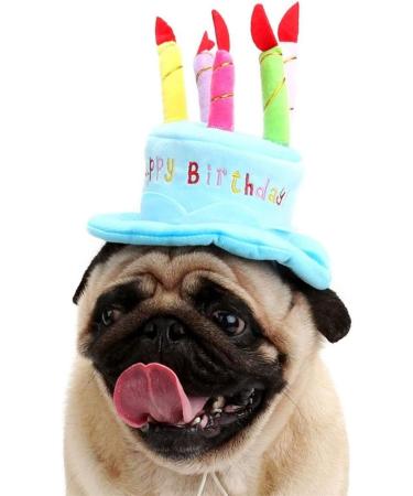 Cute Birthday Cake Hat for Pets with 5 Color Candles - Blue - Buy Online on SooperMarket.com