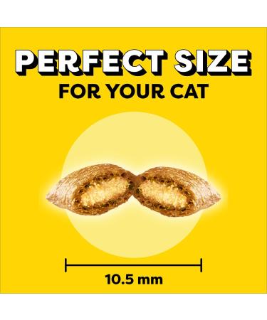TEMPTATIONS Adult Cat Treats Tempting Tuna Flavour 454g Tub Cat Treats Tuna 454 g (Pack of 1) - Buy Online on SooperMarket.com