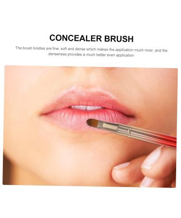 NOLITOY 2pcs Lipstick Wand & Eyelash Tool - Travel Makeup Brush & Multi-Function Eyebrow Applicator for Flawless Eye Shadow - Buy Online on SooperMarket.com