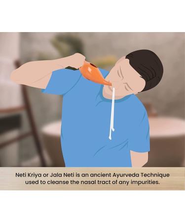 RSGM Copper Ayurvedic Jal Neti Pot for Sinus Congestion Nasal Cleaning - Buy Online on SooperMarket.com