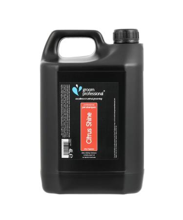 GROOM PROFESSIONAL Citrus Shine Dog Shampoo - Dog Shampoo for Smelly Dogs - Deep Cleansing Shampoo for Dogs with Greasy Coats - Contains Peach Oil - Fresh Citrus Scent 4 Litre