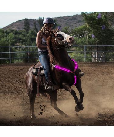 FM2018XSL Horse Harness LED Breastplate - Luminous Reflective Belt for Equestrian Safety | Outdoor Horse Riding Gear - Bright Yellow - Buy Online on SooperMarket.com