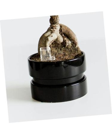 Mipcase Pet Water Feeder Ant Feeding Bowl Ants Farm Water Feeders Insect Feeder Ants Watering Cup Plastic - Buy Online on SooperMarket.com
