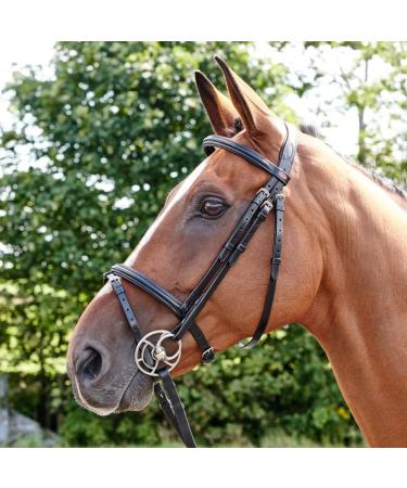 John Whitaker Barton Bridle - Raised Flash Havana Pony | Premium Equestrian Gear for International Shipping - Buy Online on SooperMarket.com