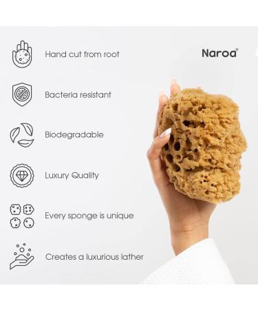 Naroa Natural Sea Sponge for Bathing | Firm Exfoliating Body Scrubber | Eco-Friendly & Renewable | Medium Size | Men & Women - Buy Online on SooperMarket.com