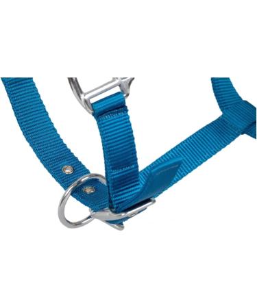 RL24 Halter with Plush Padding - BASICLINE in 6 Colors for Shetty Pony Thoroughbred Warmblood | Turquoise Shetty - Buy Online on SooperMarket.com