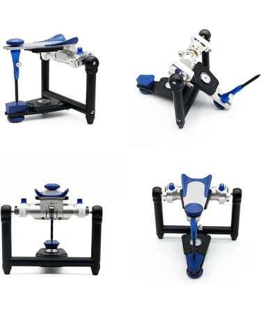 Beaghty Prosthesis - Functional Articulator | Zinclegation Dental Model for Laboratories Dentists & Students | Precision Plaster for Optimal Results - Buy Online on SooperMarket.com