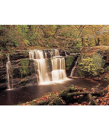 Lee Filters 4x6 Autumn Tint Resin Filter Set - Graduated Hard Edge Filters (Chocolate 2, Tobacco 2, Coral 6) - Buy Online on SooperMarket.com