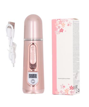 Facial Mist Sprayer Facial Sprayer Humidifier Rechargeable Portable Nano Mist Sprayer Face Humidifier Power Bank Gold
