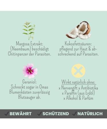 Noms Zpot-On Tick Repellent for Cats | Annual Supply with Natural Ingredients | Effective Against Ticks Mites Fleas & Sand Flies - Buy Online on SooperMarket.com
