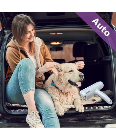Paku Paku Pet Hair Roller - Best Lint Roller for Cats & Dogs | Effective Pet Hair Remover International Shipping - Buy Online on SooperMarket.com