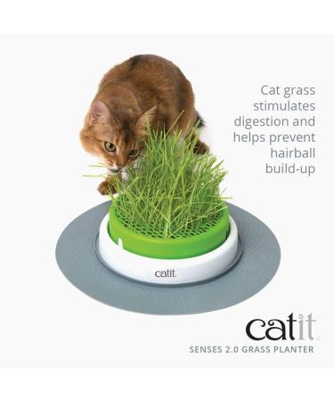 Catit Play Track Super - Ultimate Super Circuit & Grass Planter for Cats | International Shipping - Buy Online on SooperMarket.com