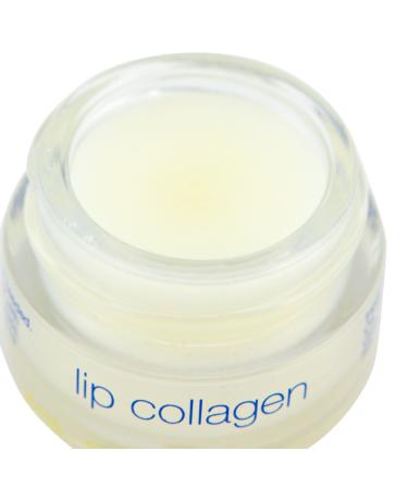 Somaluxe Collagen Dream Duo: Youthful Stem Cell Face Moisturizer & Lip Collagen Set for Softer Skin Shop Internationally - Buy Online on SooperMarket.com