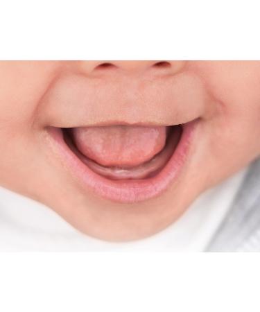 Chicco PhysioForma Soft Silicone Pacifier (16-36 Months) - Blue 4 Pack | Promotes Physiological Breathing - Buy Online on SooperMarket.com