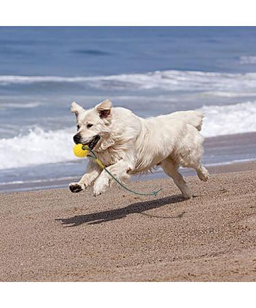 Buy Durable Dog Toys: Flee Durafoam Ball & Rope - Perfect for Large & Small Dogs - International Shipping Available - Buy Online on SooperMarket.com