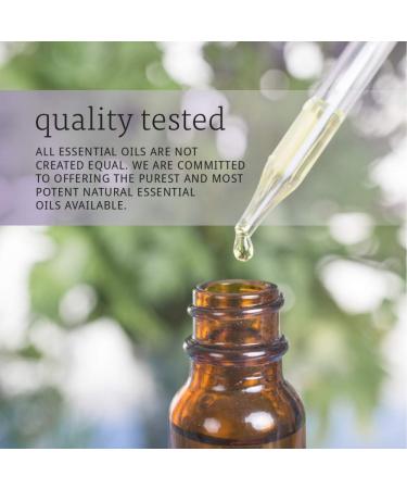 Now Foods Grape Seed Oil 32 oz - 100% Pure Cold-Pressed Blend (16oz x 2) - Buy Online on SooperMarket.com