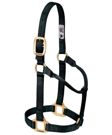 WEAVER Leather Non-adjustable Halter Black Weanling/Pony