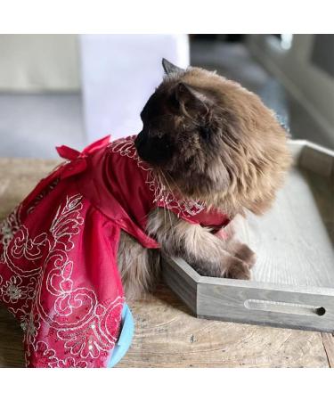 Delifur Medium Red Dog Wedding Dress Tutu Perfect Pet Costume for Birthday Parties & Spring/Summer Celebrations - Buy Online on SooperMarket.com