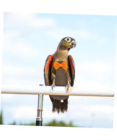 PopetPop Flying Bird Diapers - Reusable Cotton Diaper Pants for Small Birds Pigeons & Parrots | International Shipping - Buy Online on SooperMarket.com