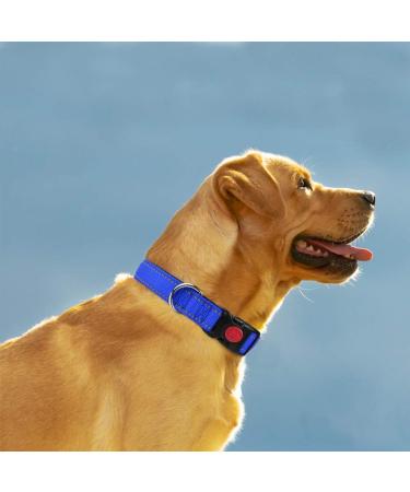 Buy Taglory Soft Padded Neoprene Dog Collar for Medium Dogs - Adjustable Reflective Dark Blue (M) | Ideal for Training & Comfort - International Shipping Available - Buy Online on SooperMarket.com