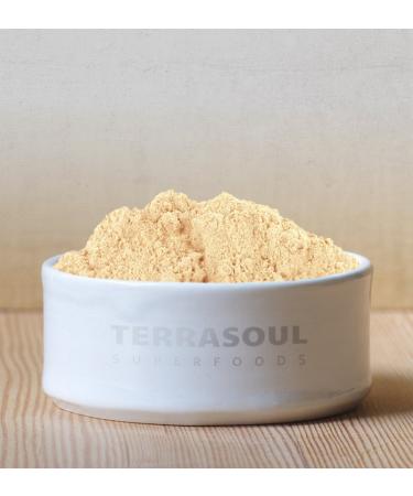 Terrasoul Superfoods Organic Ginger Powder 1 lb - Lab-Tested, Raw & Potent Spicy Flavor | Shop Now - Buy Online on SooperMarket.com