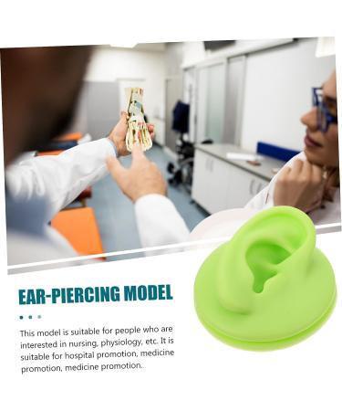 Healeved 2pcs Colored Earring Molds Teaching Aid - Green 3D Human Ear Model - Buy Online on SooperMarket.com