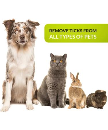 Zrilubkrelz Tick Tongs Tick Remover Set - Premium Tick Protection for Dogs, Cats, Horses - 3 Tick Levers Included - Buy Online on SooperMarket.com