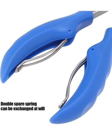 Nail Clippers Set Double Spring Toenail Clippers Ingrown Fingernail Toenail Tools Kit Nail Pedicure Clippers Toenail Corrector Professional Manicure Pedicure Tool(blue) - Buy Online on SooperMarket.com