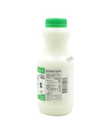 KAROUN Mint Yogurt Drink 16oz - Probiotic Beverage for Digestive Health - Buy Online on SooperMarket.com