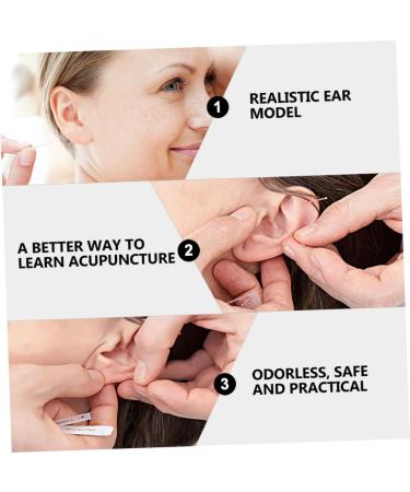 Silicone Ear Models for Ear Picking and Display - 1 Pair - Buy Online on SooperMarket.com