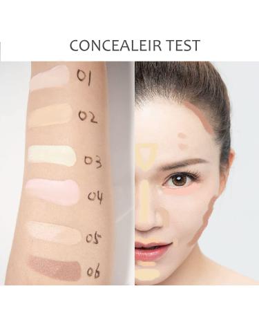 6-In-1 Color Correcting Concealer Contour Palette for Dark Circles & Blemishes with 2 Brushes - Buy Online on SooperMarket.com