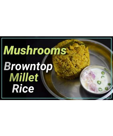 nalAmudhu Browntop Millet | Korale | Urochloa Ramosa Millet 453.5g | 1-lbs - Buy Online on SooperMarket.com