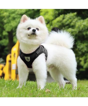 Reflective Soft Padded Dog & Cat Dishes with Leash - Air-Mesh for Small Dogs & Cats (XS 24-27cm) - LOOK ANDE HOUSE - Buy Online on SooperMarket.com