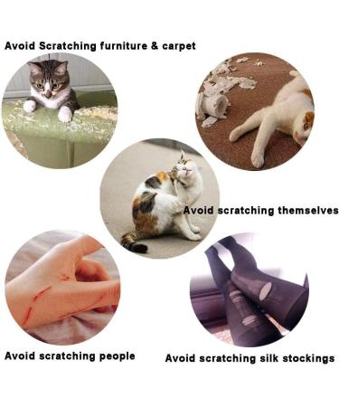 Zerodis 100 Pieces Cat Nail Cover Protector - Soft Anti-Scratch Pet Nail Caps for Cats & Dogs - Safe Claw Protection (XS - Schwarz) - Buy Online on SooperMarket.com