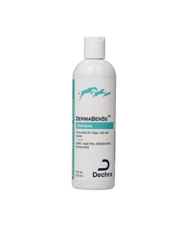 Dechra DermaBenSs Shampoo for Dogs, Cats & Horses (12oz) - Gentle, Soap-Free, Antiseborrheic and Antimicrobial (1810011)