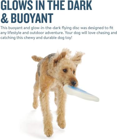 Planet Dog Orbee-Tuff Zoom Flyer Disc Glow-In-The-Dark Dog Fetch Toy Large Glow/Orange Large - Buy Online on SooperMarket.com