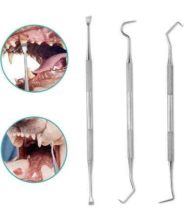 RHXWFDG 3 Pcs Pet Tooth Scaler Cleaning Kit Dog Dental Tooth Scaler Stainless Double Headed Tarter Remover Pet Dental Tools Pet Teeth Cleaning Tools for for Dogs Cats - Buy Online on SooperMarket.com