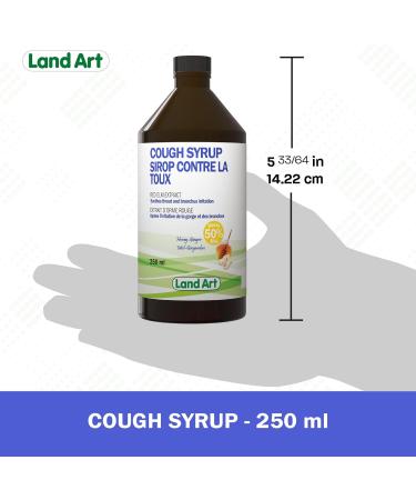 Natural Cough Syrup For Kids and Adults Cough Relief Immune System Throat and Bronchial Irritation Relief From Red Elm Extract Honey Ginger 250 ml (Pack of 2) - Buy Online on SooperMarket.com