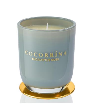 Cocorr na Candle fragrance candle in a glass - eucalyptus musk burning time up to 22 hours natural soy candle Christmas gift candle 180g eucalyptus musk 180g