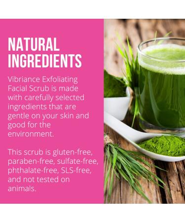 Vibriance Ultra-Gentle Exfoliating Facial Scrub and Cleanser, 4 fl oz - Unclogs Pores, Renews Skin | Sulfate-free, Paraben-free - Buy Online on SooperMarket.com