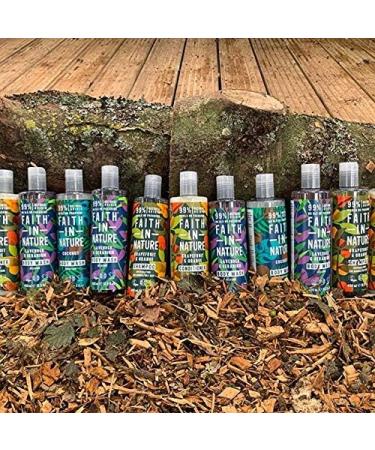 Faith In Nature Natural Fragrance Free Conditioner Sensitive Vegan & Cruelty Free No SLS or Parabens for All Hair Types 400ml Fragrance Free 400 ml (Pack of 1) - Buy Online on SooperMarket.com