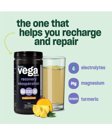 Vega Sport Post-Workout Recovery Accelerator Apple Berry (20 Servings) Vegan Non Dairy Gluten Free BCAAs 540g (Packaging May Vary) Apple Berry 20 Servings (Pack of 1) - Buy Online on SooperMarket.com
