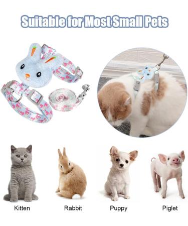 Adjustable Rabbit Leash & Cat Dishes - Perfect for Small Pets | International Shipping - Buy Online on SooperMarket.com