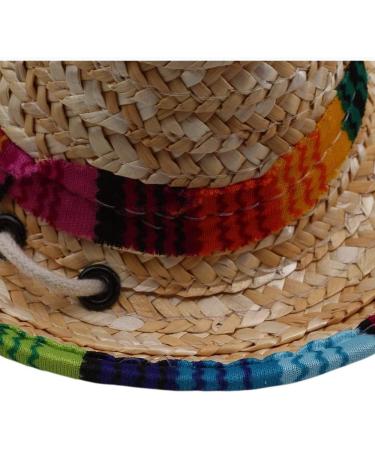 1 PCS Pet Straw Hat Funny Mini Mexican Hats Mexican Sombrero Cap Dog Sombrero Hat for Fiesta Carnival Mexican Theme Party Decorations Dogs Cats Party Favors - Buy Online on SooperMarket.com