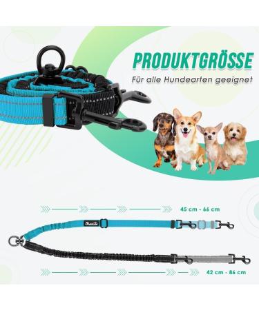 Buy NASJAC Double Dog Leash - No Tangle 360 Rotatable Adjustable Bungee Reflective Leash for Small Medium & Large Dogs - 2-Color Black & Aquamarine - Buy Online on SooperMarket.com